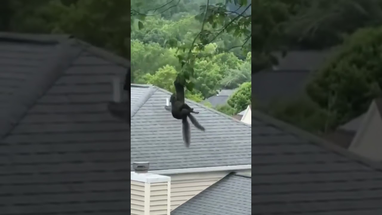 UTOPIST | Это могли быть мы с тобой | It could be you and me