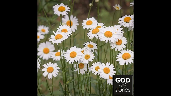 God Sized Bonus Episode with Julie Huebner