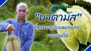 ชวนทำความรู้จัก "บาตามัส" ราชาทุเรียนสามจังหวัดชายแดนใต้