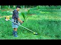 പുല്ല് വെട്ടൽ ഇത്ര സിമ്പിൾ ആയിരുന്നോ | Amazing Grass Cutting