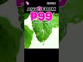 Energy Booster Stick: Vegan Liver Cleanse & Herbal Nasal Inhaler