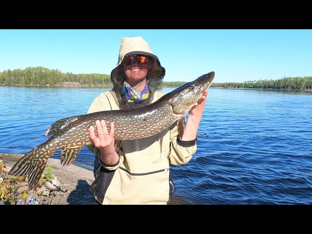 Fishing with Greg Ep. 11 (Larus Lake: Pike & Walleye in Woodland Caribou  Provincial Park) 