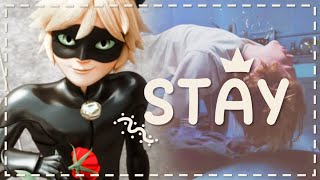 STAY -- The Kid LAROI ft Justin Bieber - Miraculous Ladybug