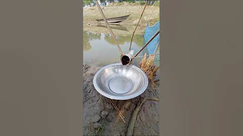 Watch the Technique of Catching 20 KG of Catfish at Once #shorts #fishing #catfishing #fishingvideo