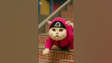 Squid game + the cats #squidgame #squidgame2 #cat #comedy #ai #reels #youtubeshorts #trending #reel