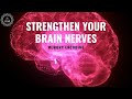 Hippocampus Brain | Expand Your Sensory Response | Memory Encoding | Strengthen Your Brain Nerves