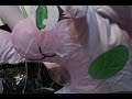【voreアイテム】ヌメルゴンのフロートで被食擬似体感( Inflatable Goodra )