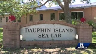 Exploring Alabama: Daulphin Island Sea Lab