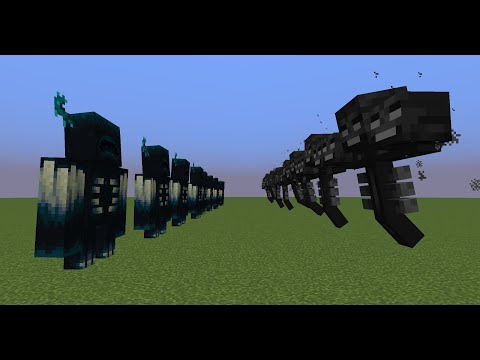 Warden vs Wither 10 vs 10 (Old snapshot )