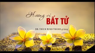 Hương Vị Bất Tử - ĐĐ.Thích Minh Thành