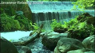 Suara Air Gemericik Untuk Semua Burung Macet Bunyi - Suara Air Terapi Burung