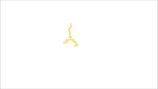 Honeyroot - Sound Echo Location