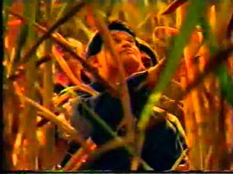 โฆษณาน้ำตาลมิตรผล ชุด ชาวไร่
