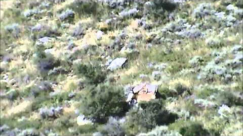 Utah Trophy Bull Elk Hunt with Porcupine Adventures