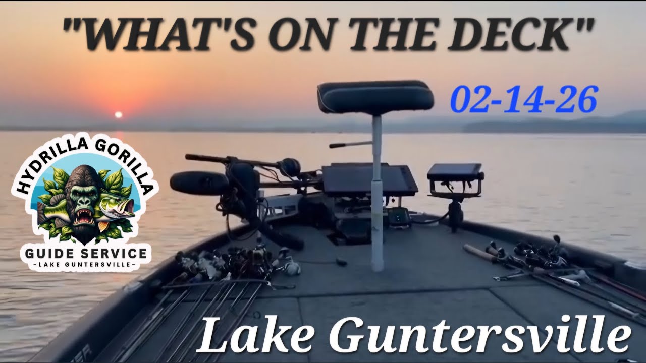 02-14-26   “WHAT'S ON THE DECK”   Lake Guntersville Fishing Report!