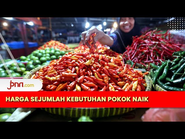 Jelang Ramadan, Harga Cabai Tembus Rp100 Ribu Per kilogram