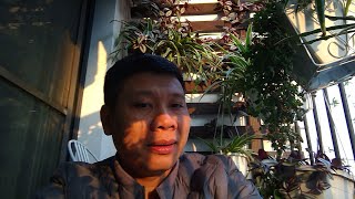 Đào Tạo Seo miễn phí - 10 bước đưa website lên Top 1 Google