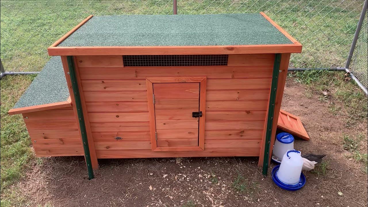 TRIXIE Chicken Coop Review YouTube