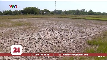 Xâm nhập mặn gay gắt ở Đồng bằng Sông Cửu Long | VTV24