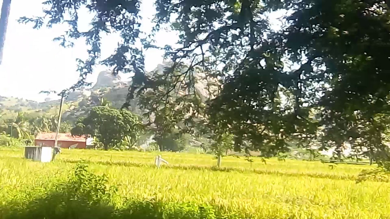 Sholingar Hills - Approach from Ammoor (walajah road Junction) - video 1