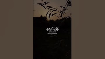 أَرَأَيْتَ الَّذِي يَنْهَىٰ عَبْدًا إِذَا صَلَّىٰ | الشيخ محمد صديق المنشاوي قران كريم سورة العلق