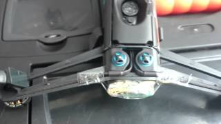 MOV 0280