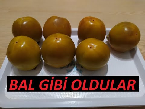 HURMA NASIL OLGUNLAŞTIRILIR