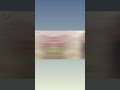 اسراء الاصيل فارس احلامي حالات واتساب 