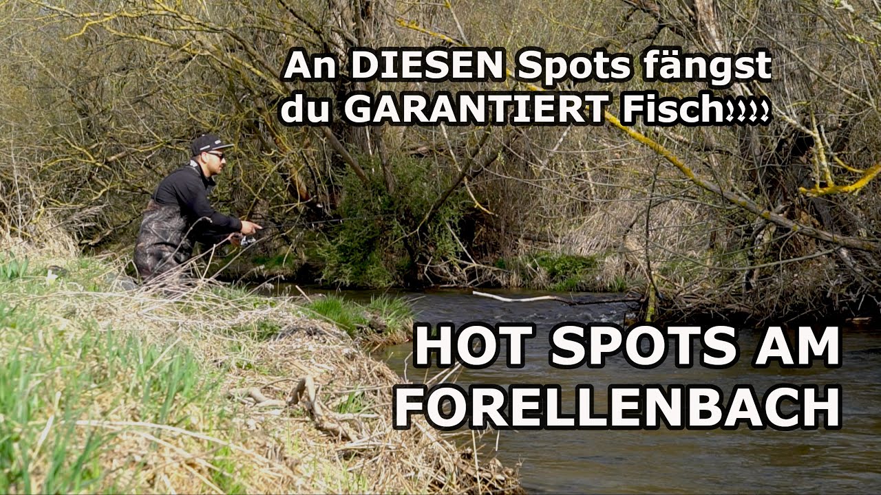 Die BESTEN Spots am Forellenbach! So angelst DU erfolgreicher!