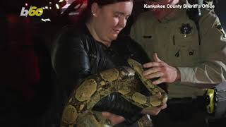 Slither & Scorch! Police Rescue Family’s Pet Snake From House Fire!