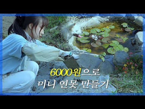 [연못일기 #1] 10평짜리 정원에 미니 연못만들기 :: 리틀포레스트, 시골 정원꾸미기 build a fish pond