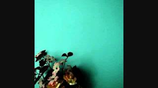 Denny Davidson - Forget The Flowers ( Wilco Cover ) Details