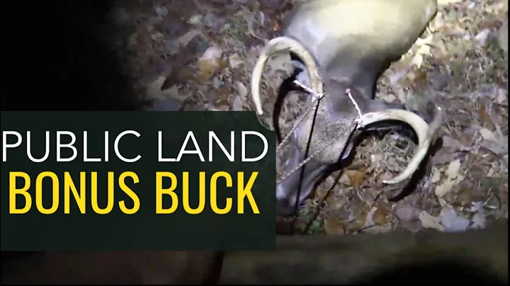 PUBLIC LAND BUCK Almost Didn't STOP!
