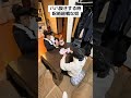 #呪術廻戦 #死滅回游 #乙骨憂太 #石流龍 #旅男