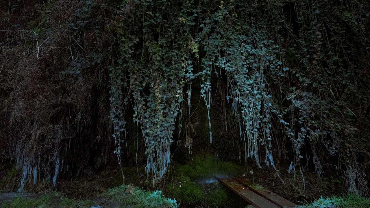 Water stream in green cave 12h  Professional TV Wallpaper | 4k