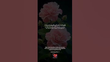 Makna Surah Al-Insan 5–15 🌿 Balasan Bagi Orang Saleh | تلاوة عثمان مشعل الحداد ❤️
