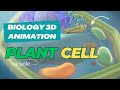 Cellular Structure and Function in Plant Cells