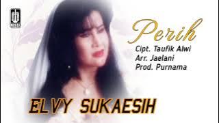 ELVY SUKAESIH - PERIH