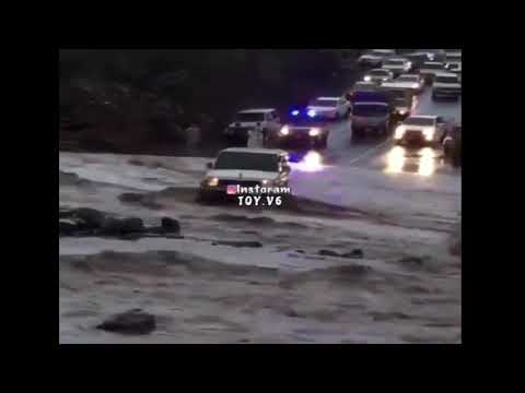 ارجع يا راعي الجيب