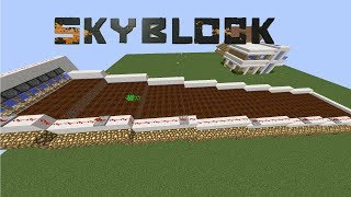 OTOMATİK PATATES TARLASI -  Minecraft SkyBlock 3.Sezon (Presiz Türk Server Brovercraft) #17