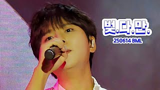 벚꽃이 내리는 봄길 위에서 우리 다시 만나요 _ 정승환 | 250614 뷰티풀민트라이프
