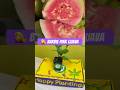 Best Guava flavor: Barbie Pink #guava #plants #gardening #growyourownfood #foodforest
