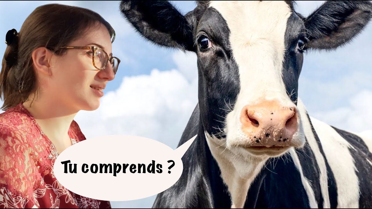 Interpréter les noms de famille normands ou picards - Film 357