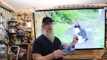 Woyamay Cat Calming Diffuser Kit - 3-in-1 Cat Pheromone Diffuser