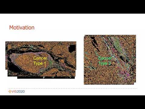 Visual cohort comparison for spatial single-cell omics-data