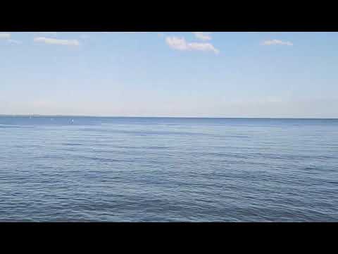 Detroit River Water Temp