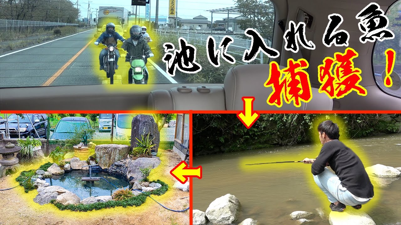 メンバー総出で池に入れる魚を捕まえる！！