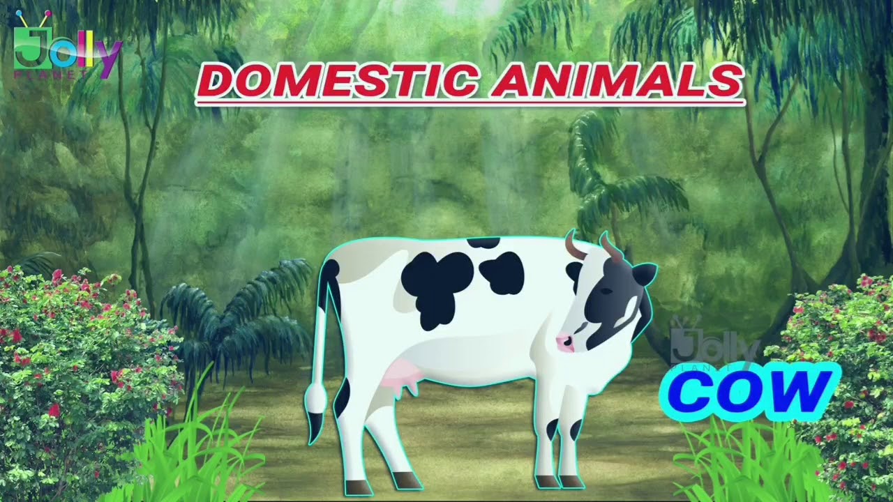 Online Class About Animals Name - Part 3 - YouTube