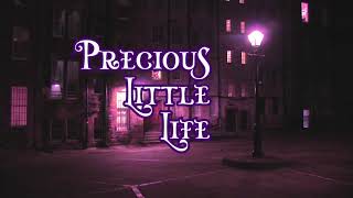 Precious Little Life (Book Trailer)