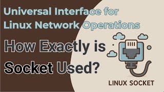 Socket - The Universal Interface for Linux Network Operations: Basic Intro